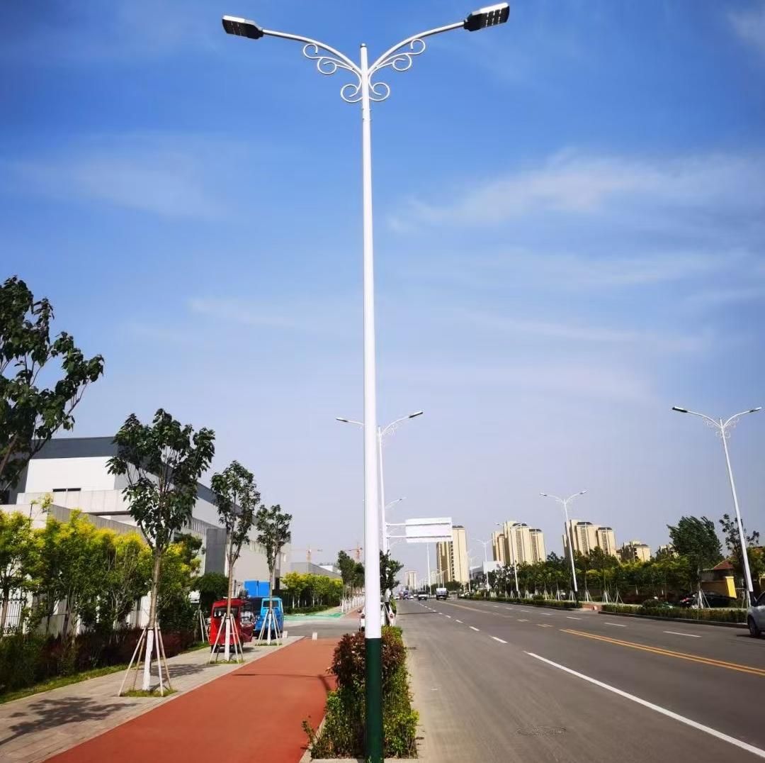 Outdoor Decorative Lamp Post and Street Light Pole